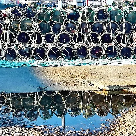 Casa Matilde בית נופש Corcubión